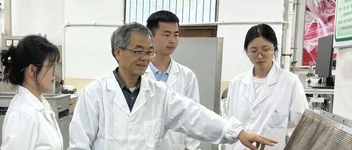 江苏大学食品物理加工研究院院长马海乐：技术与装备遍地开花，食品加工还能这样做？