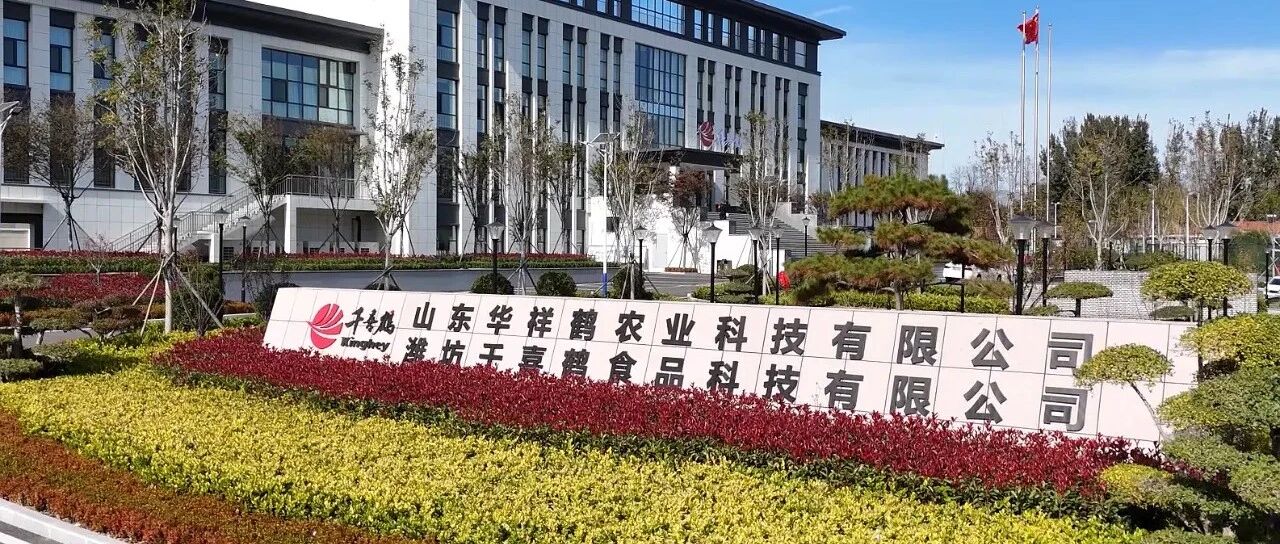 千喜鹤集团董事张磊德一：团餐巨头千喜鹤，如何讲好预制菜新故事？