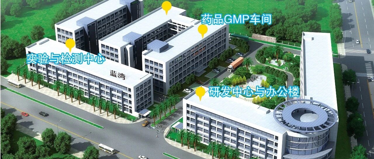 蓝湾科技董事长林秀芬：解锁海洋密码 廿载守护健康