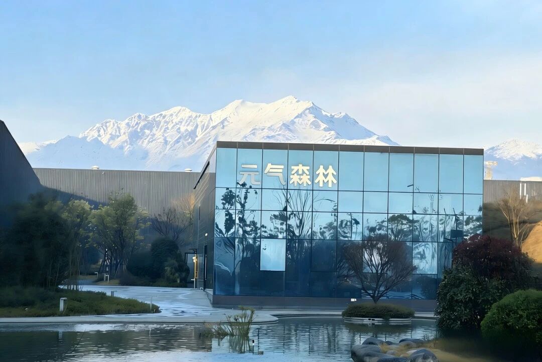微信图片_2026-06-17_183026_454.jpg