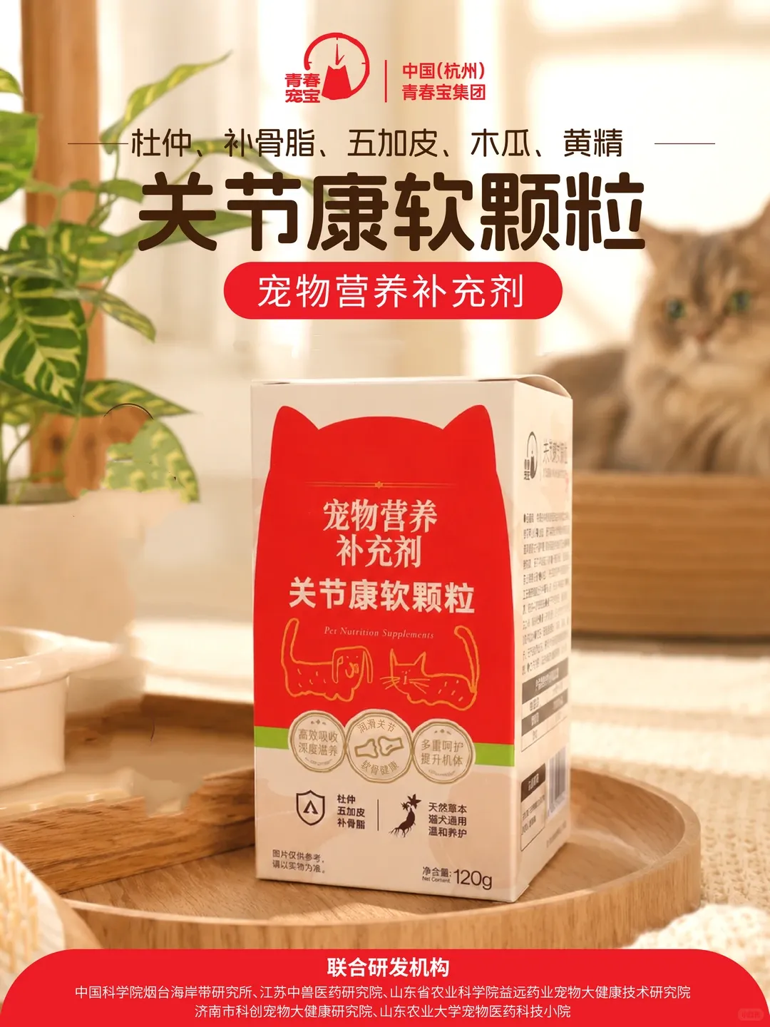 640 (9).webp