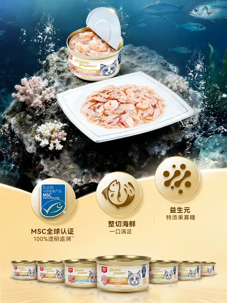 640 (10).webp
