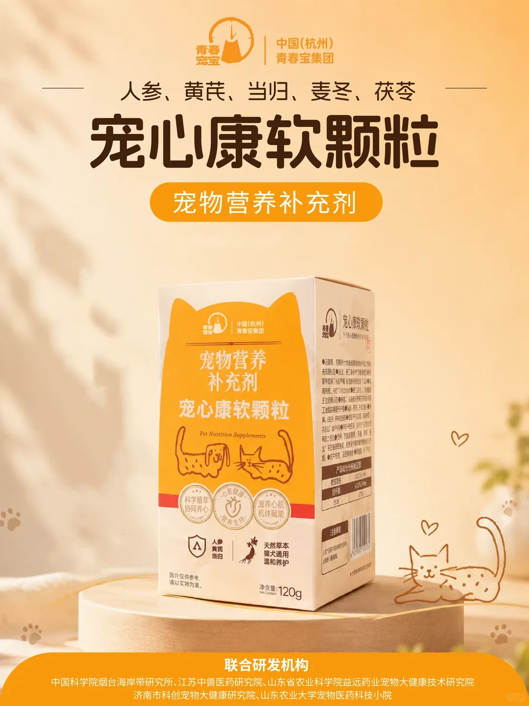 640 (8).webp
