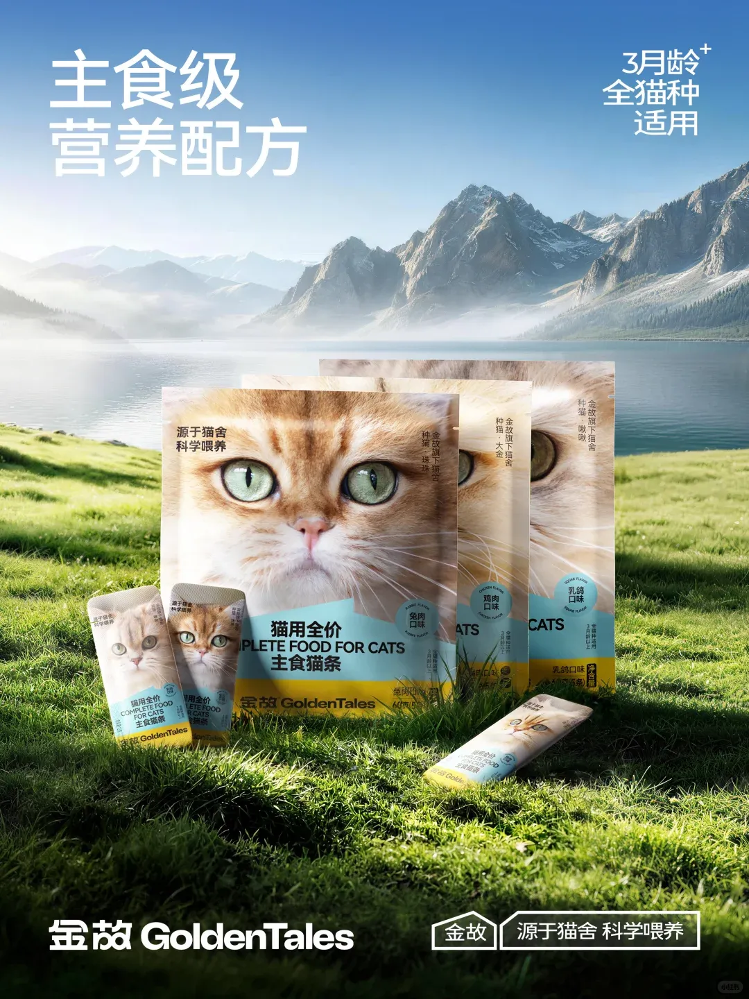 640 (8).webp